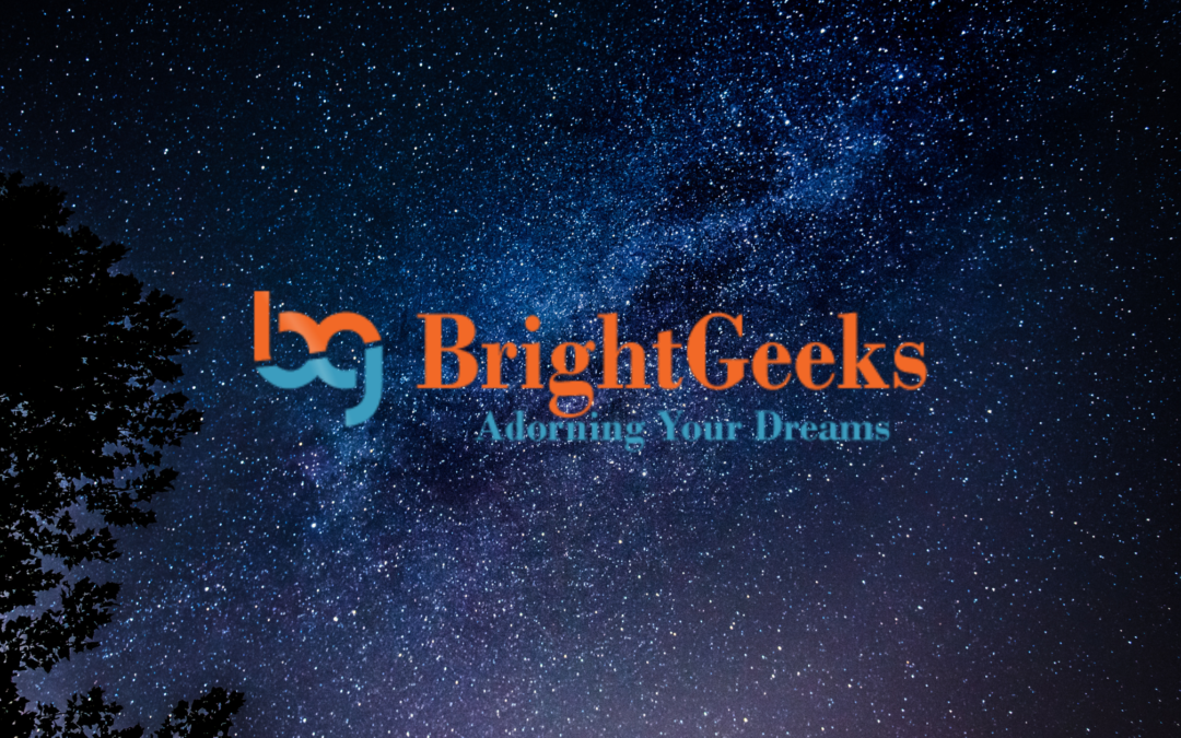 BrightGeeks promotional Video
